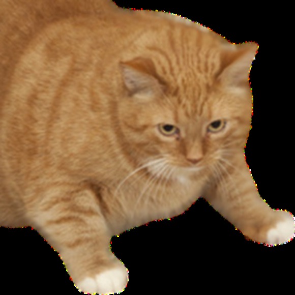 Meet your Posher, Kat - Picture 1 of 1